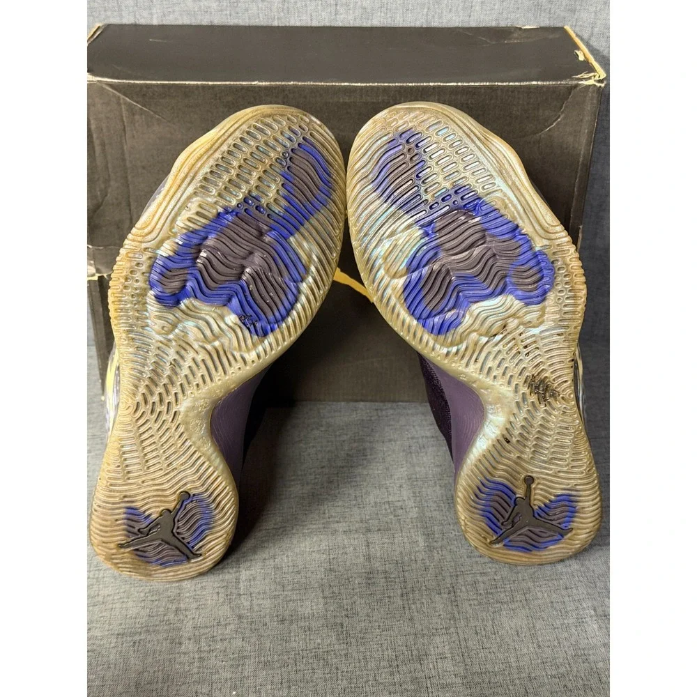 Jordan CP3 10-Purple Dynasty/Metallic Silver-Size 9.5 854294-505